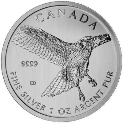 RCM 1oz Silver Birds of Prey Red Tailed Hawk – 2015